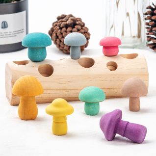 Educational Toy,Sensory Toy